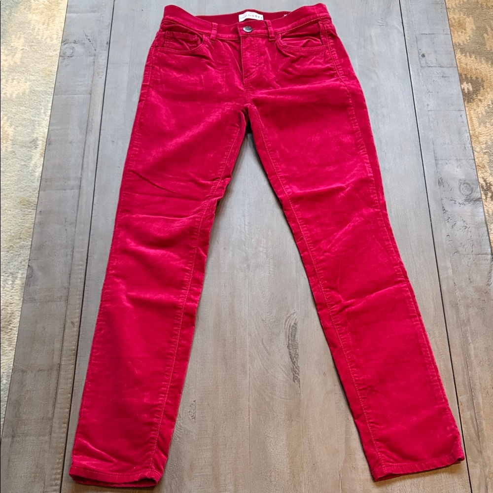 LOFT Women's Fuchsia Velvet Pant 0/25